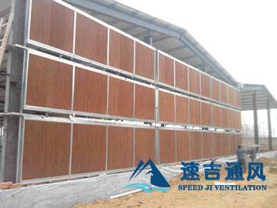 大棚種植專用水簾風機通風降溫濕簾紙及水簾墻系統