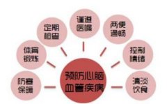 春季養(yǎng)護心腦血管應(yīng)3保平衡